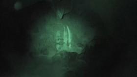 Expedition Unknown S08E07 Hunt for the Chupacabra WEB x264-CAFFEiNE [eztv]