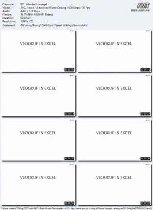 Udemy - How to use Vlookup in Excel