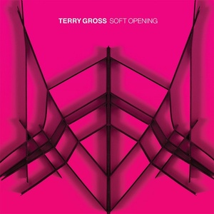 [indie-rock, psychedelic rock] (2021) Terry Gross - Soft Opening [FLAC] [DarkAngie]