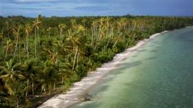 Primal Survivor S03E01 Trial By Ocean WEBRip x264-CAFFEiNE [eztv]