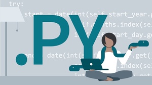 [LYNDA] Code Clinic Python - [FCO]