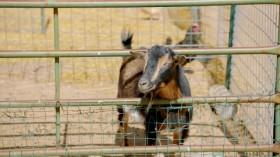 Hairy Bikers Route 66 S01E04 HDTV x264-LiNKLE [eztv]