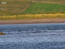 The One Show 2019 02 19 480p x264-mSD [eztv]