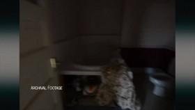 Believers S01E02 Nervous Wreck XviD-AFG [eztv]