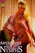 Naughty.Nymphs.1991.DVDRip.x264-worldmkv