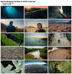 H2O The Molecule That Made Us S01 complete (1280x720p HD, 50fps, soft Eng subs)