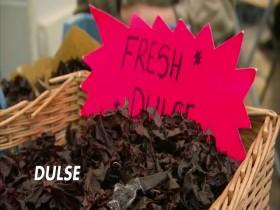 Food-Fact or Fiction S04E24 Tasting is Believing 480p x264-mSD [eztv]