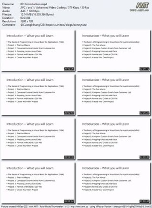 Udemy - Excel Macros - VBA - Create Real World Projects from Scratch (2021)