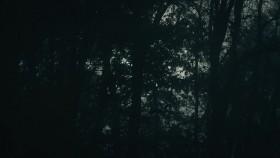 Hometown Horror S01E06 Satanic Swamp 720p WEBRip x264-CAFFEiNE [eztv]