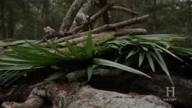 Alone The Beast S01E05 Swamp of Suffering 720p AMZN WEB-DL DDP5 1 H 264-NTb [eztv]