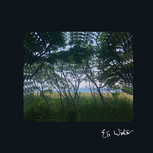 [alternative folk] (2022) Eli Winter - Eli Winter [FLAC] [DarkAngie]