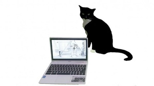 [ FreeCourseWeb ] Udemy - The Scientific Formula For Profitable Blogging