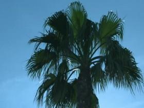 The Nolans Go Cruising S01E07 480p x264-mSD [eztv]