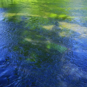 Caribou - Suddenly Remixes (2021) Mp3 320kbps [PMEDIA] ⭐️