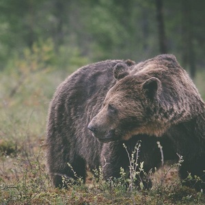 [ambient] (2021) Warmth - Retrospective (2016-2021) [FLAC] [DarkAngie]