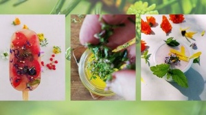 [ FreeCourseWeb ] Udemy - Edible Garden, Edible Forest