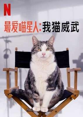 Kitty Love - Evviva i gatti (2021) .mkv DLMux 1080p E-AC3+AC3 ITA ENG SUBS.mkv