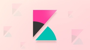 Udemy - Data Visualization with Kibana