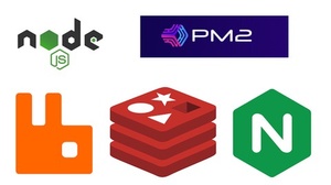 Udemy - Node JS Cluster with PM2, RabbitMQ, Redis and Nginx