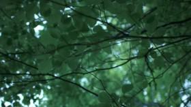 Raiders of the Lost Past with Janina Ramirez S01E02 The Lion Man HDTV x264-UNDERBELLY [eztv]