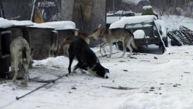 Yukon Men S05E04 Gut Check CONVERT 720p WEB H264-EQUATION [eztv]