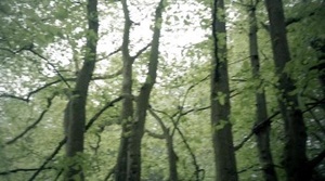 Clash of the Dead (2015) [BluRay] [1080p] [YTS] [YIFY]