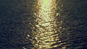 Big Texas Fix S01E02 Fire Salvaged Victorian WEB x264-CAFFEiNE [eztv]