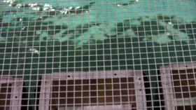 Mega Machines-Sea Giants S02E04 Dynamos of the Deep WEBRip x264-LiGATE [eztv]