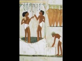 Power Trip The Story of Energy S01E02 Food 480p x264-mSD [eztv]