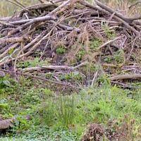 Europes.Hidden.Wonders.S01E01.HDTV.x264-PHOENiX