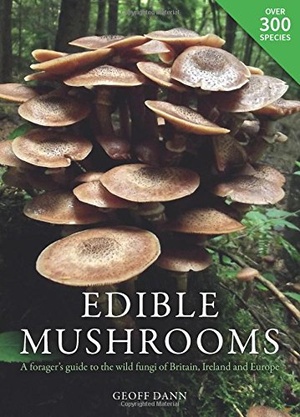 Edible Mushrooms A Forager s Guide to the Wild Fungi of Britain and Europe 2017 Epub Gooner
