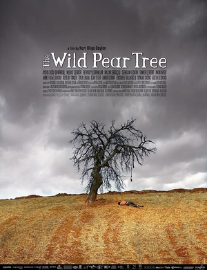 Ahlat Agaci - The Wild Pear Tree (2018) [Turkish] [BRRip] [1080p] - TorrentMafya