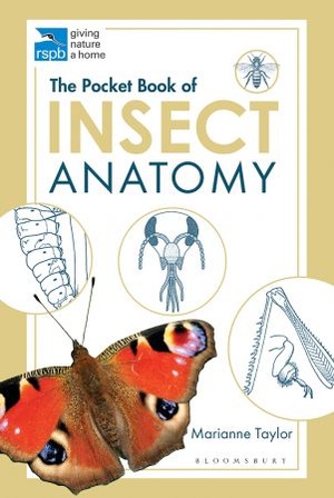 [ DevCourseWeb ] The Pocket Book of Insect Anatomy (RSPB)