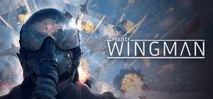 Project Wingman v1.0.4