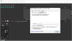 Cockos REAPER v6.47 (x64) Portable