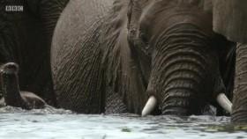 Earths Great Rivers S01E02 Nile WEB h264-WEBTUBE [eztv]