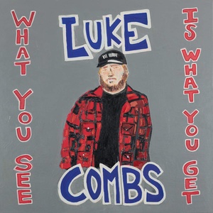 Luke Combs - What You See Is What You Get (2019) [320 KBPS] [pradyutvam]