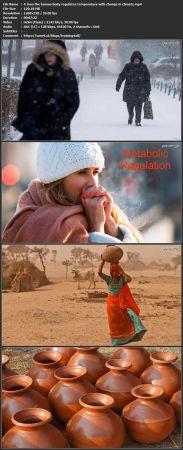 Udemy - Science and technology in day to day life