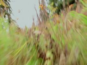 Land Rush S01E01 Breaking Ground 480p x264-mSD [eztv]