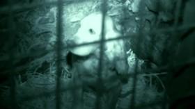 Defenders UK S01E07 HDTV x264-UNDERBELLY [eztv]