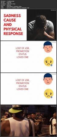 [ DevCourseWeb ] Udemy - Powerful Stress Management strategy for Leaders