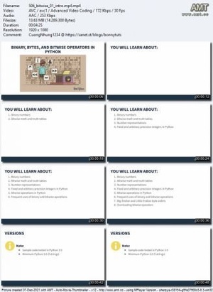 RealPython - Real Python - Binary, Bytes, and Bitwise Operators in Python