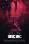 Rattlesnakes.2019.1080p.AMZN.WEB-DL.DDP5.1.H.264-NTG[EtHD]