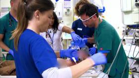 Kings Cross ER S02E07 1080p WEB H264-EQUATION [eztv]