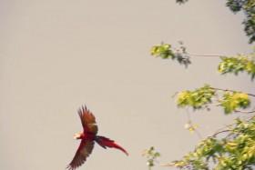 Empire Games S01E06 WEB x264-CRiMSON [eztv]