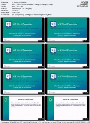 Udemy - MS Word Essentials