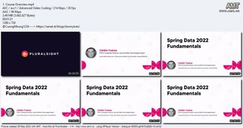 PluralSight Spring Data 2022 Fundamentals
