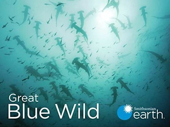 Great Blue Wild COMPLETE S01 S02 S03 720p 10bit WEBRip x265 budgetbits