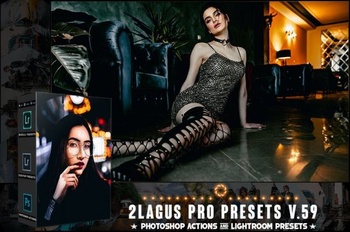 DesignOptimal PRO Presets V 59 Photoshop Lightroom