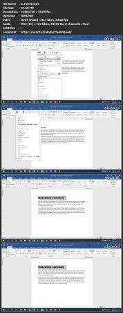 Udemy Learn MS Word From Scratch Part 1